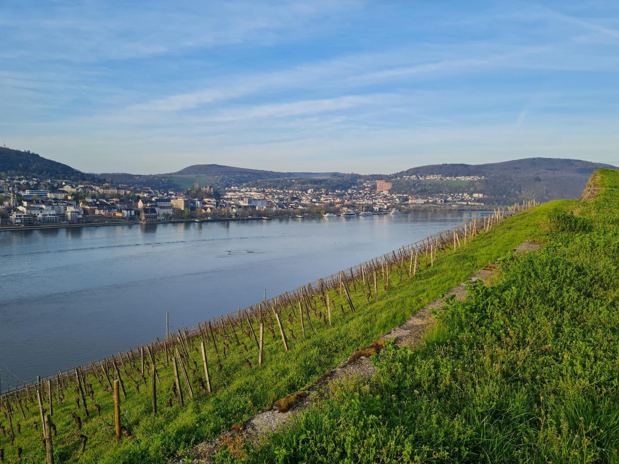 Ferienwohnungen Am Markt Rüdesheim am Rhein Exterior foto